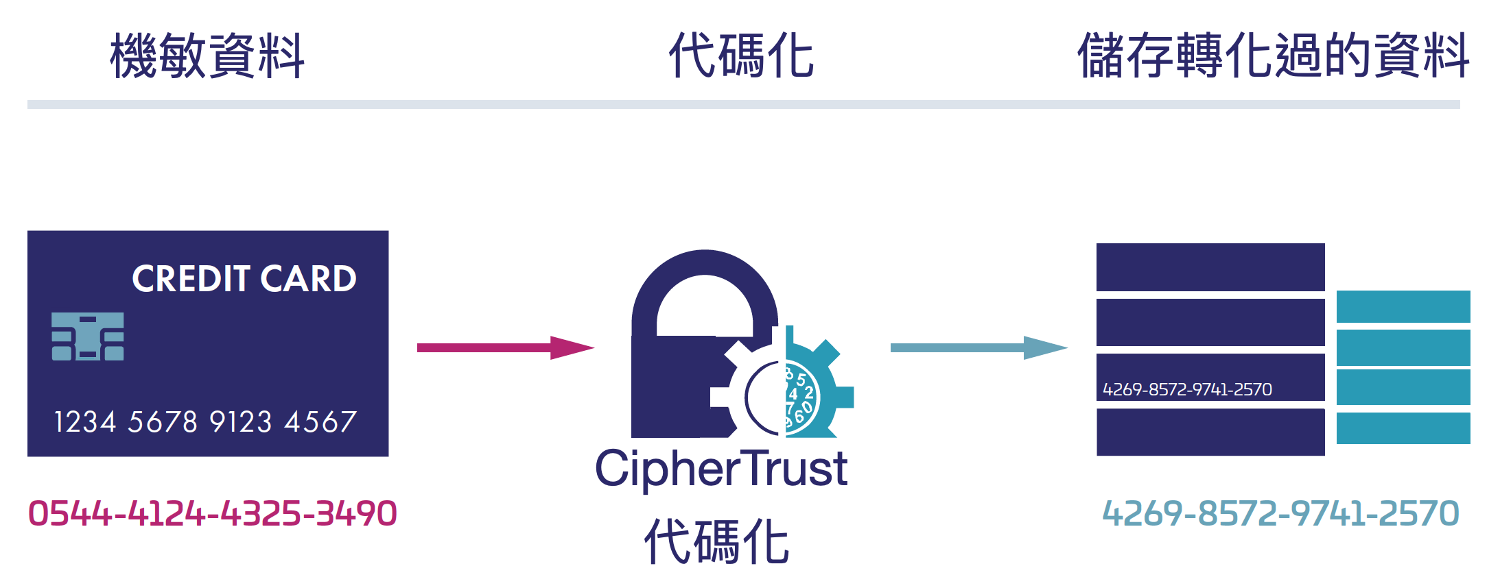 CipherTrust Tokenization